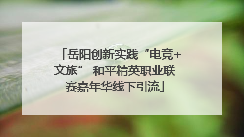 岳阳创新实践“电竞+文旅” 和平精英职业联赛嘉年华线下引流