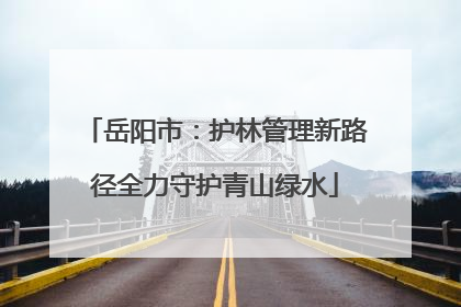 岳阳市：护林管理新路径全力守护青山绿水