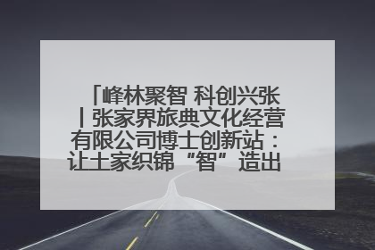 峰林聚智 科创兴张丨张家界旅典文化经营有限公司博士创新站：让土家织锦“智”造出非遗新传奇