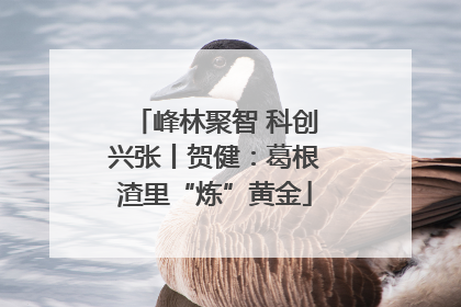 峰林聚智 科创兴张丨贺健：葛根渣里“炼”黄金