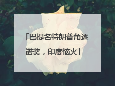 巴提名特朗普角逐诺奖，印度恼火