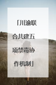 川渝联合共建五项禁毒协作机制