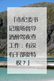 市纪委书记现场督导酒醉驾夜查工作：有没有干部耍特权？