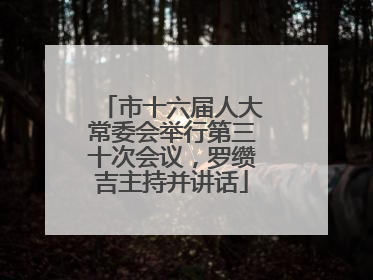 市十六届人大常委会举行第三十次会议，罗缵吉主持并讲话