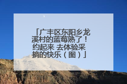 广丰区东阳乡龙溪村的蓝莓熟了！约起来 去体验采摘的快乐（图）