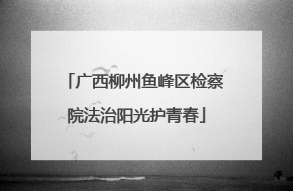 广西柳州鱼峰区检察院法治阳光护青春
