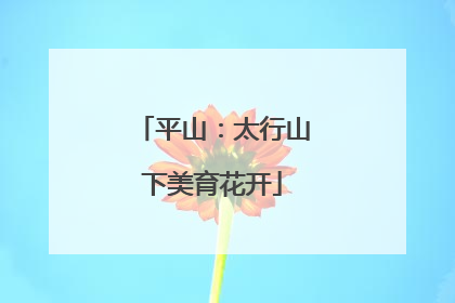 平山：太行山下美育花开
