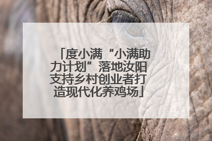 度小满“小满助力计划”落地汝阳支持乡村创业者打造现代化养鸡场