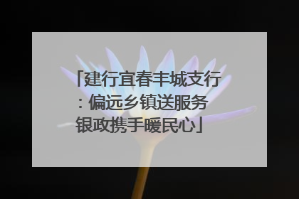 建行宜春丰城支行：偏远乡镇送服务 银政携手暖民心
