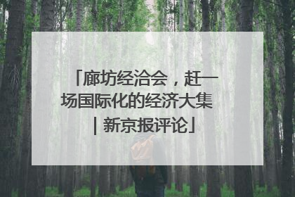 廊坊经洽会，赶一场国际化的经济大集｜新京报评论
