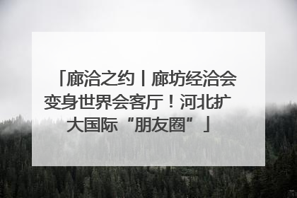 廊洽之约丨廊坊经洽会变身世界会客厅！河北扩大国际“朋友圈”