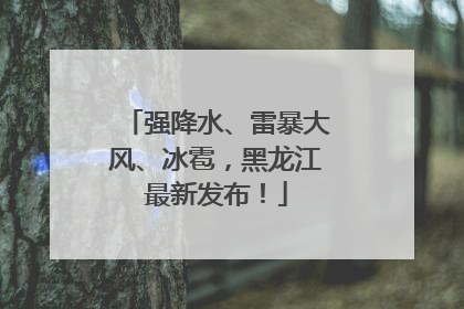强降水、雷暴大风、冰雹，黑龙江最新发布！