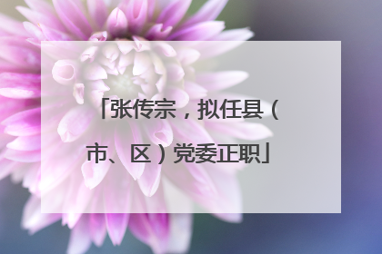 张传宗，拟任县（市、区）党委正职