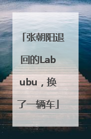 张朝阳退回的Labubu，换了一辆车