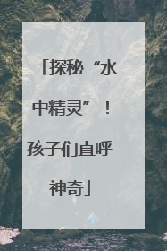 探秘“水中精灵”！孩子们直呼神奇