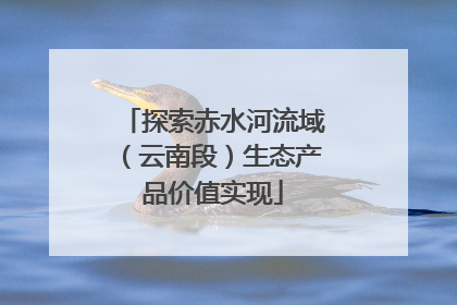 探索赤水河流域（云南段）生态产品价值实现