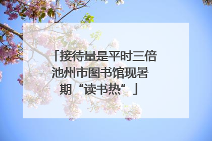 接待量是平时三倍 池州市图书馆现暑期“读书热”