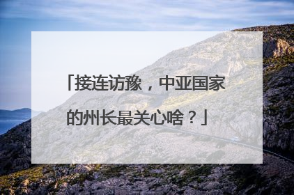 接连访豫，中亚国家的州长最关心啥？