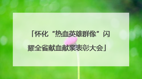 怀化“热血英雄群像”闪耀全省献血献浆表彰大会