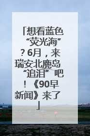 想看蓝色“荧光海”？6月，来瑞安北麂岛“追泪”吧！《90早新闻》来了