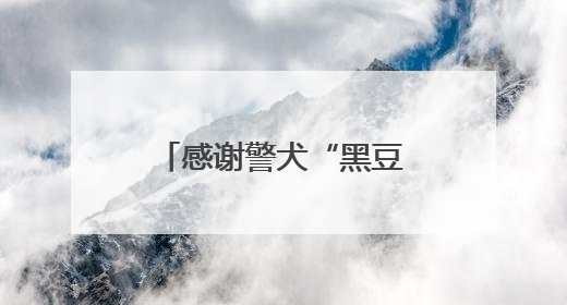 感谢警犬“黑豆”带路！民警深山寻回75岁老人