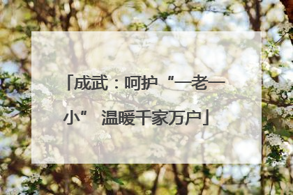 成武：呵护“一老一小” 温暖千家万户