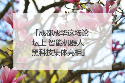 成都成华这场论坛上 智能机器人黑科技集体亮相