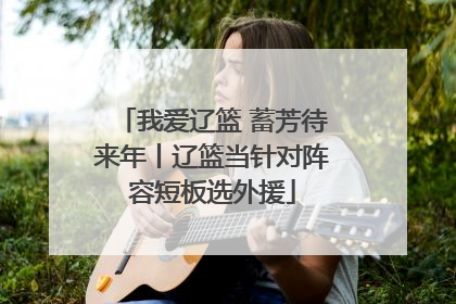 我爱辽篮 蓄芳待来年丨辽篮当针对阵容短板选外援