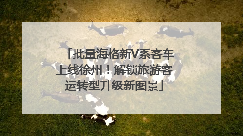 批量海格新V系客车上线徐州！解锁旅游客运转型升级新图景