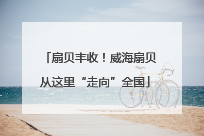 扇贝丰收！威海扇贝从这里“走向”全国