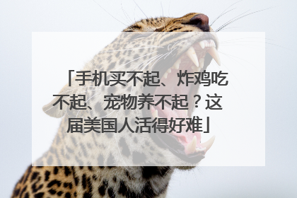 手机买不起、炸鸡吃不起、宠物养不起？这届美国人活得好难