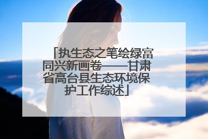 执生态之笔绘绿富同兴新画卷——甘肃省高台县生态环境保护工作综述