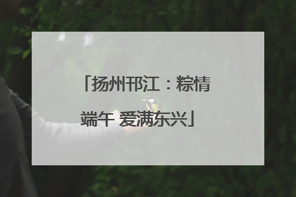 扬州邗江：粽情端午 爱满东兴