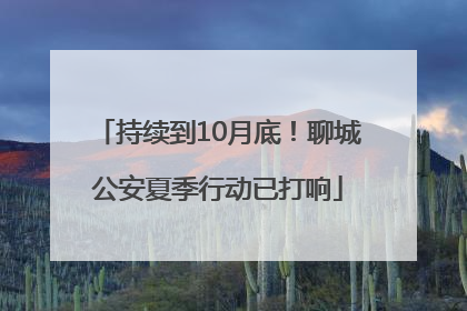 持续到10月底！聊城公安夏季行动已打响