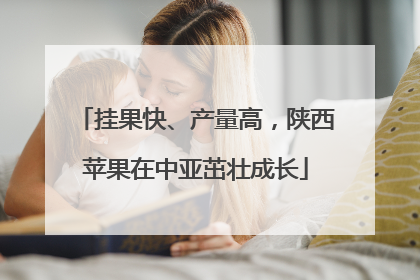 挂果快、产量高，陕西苹果在中亚茁壮成长