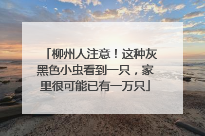 柳州人注意！这种灰黑色小虫看到一只，家里很可能已有一万只
