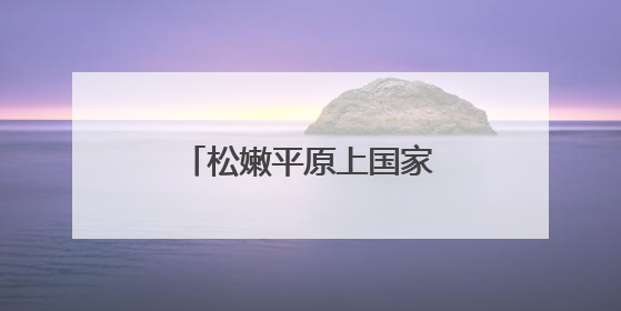 松嫩平原上国家粮食与能源安全的三峡融合示范