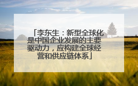李东生：新型全球化是中国企业发展的主要驱动力，应构建全球经营和供应链体系