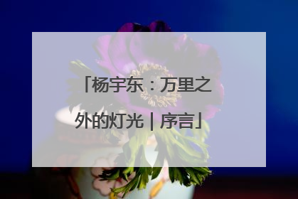 杨宇东：万里之外的灯光｜序言