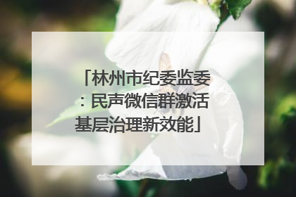 林州市纪委监委：民声微信群激活基层治理新效能