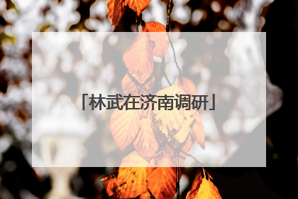 林武在济南调研