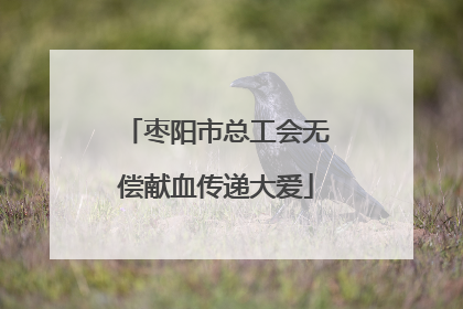 枣阳市总工会无偿献血传递大爱