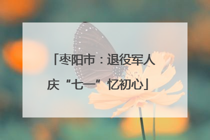 枣阳市：退役军人庆“七一”忆初心