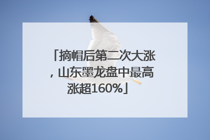 摘帽后第二次大涨，山东墨龙盘中最高涨超160%