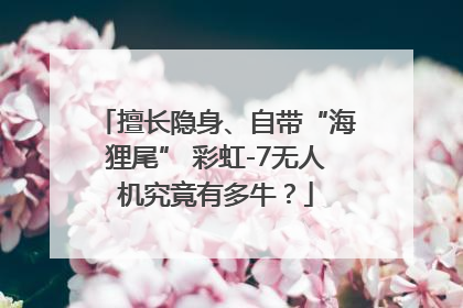 擅长隐身、自带“海狸尾” 彩虹-7无人机究竟有多牛？