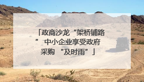 政商沙龙“架桥铺路” 中小企业享受政府采购 “及时雨”
