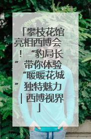 攀枝花馆亮相西博会！“豹局长”带你体验“暖暖花城”独特魅力｜西博视界