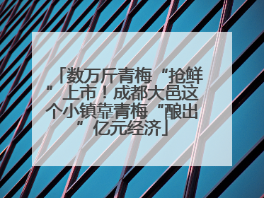 数万斤青梅“抢鲜”上市！成都大邑这个小镇靠青梅“酿出”亿元经济
