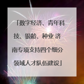 数字经济、青年科技、银龄、种业 济南专项支持四个细分领域人才队伍建设