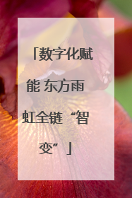 数字化赋能 东方雨虹全链“智变”